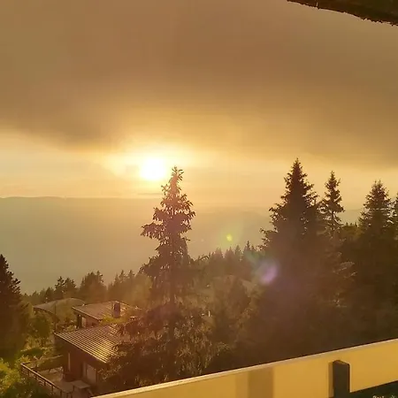 Cosy Avec Balcon + Vue Sur La Montagne 38 M² Apartment Chamrousse
